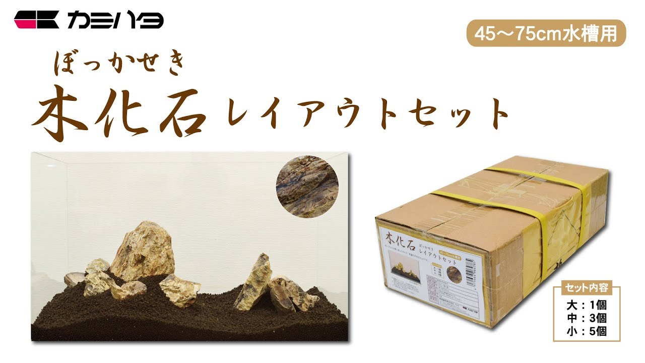 木化石（ぼっかせき）アクアリウムロック レイアウトセット
