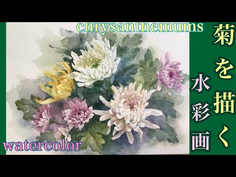 菊科の花を描いた動画 - YouTube