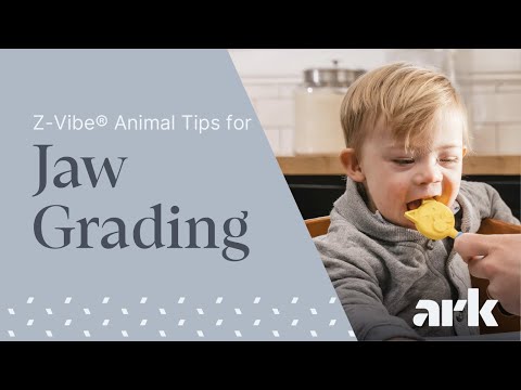 ARK's Z-Vibe Animal Critters Travel Kit | Sensory Oral Motor | ARK