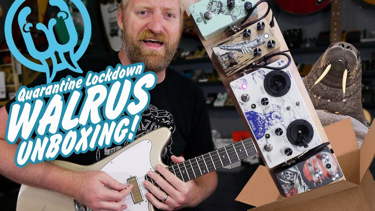 Janus Fuzz/Tremolo with Joystick Control