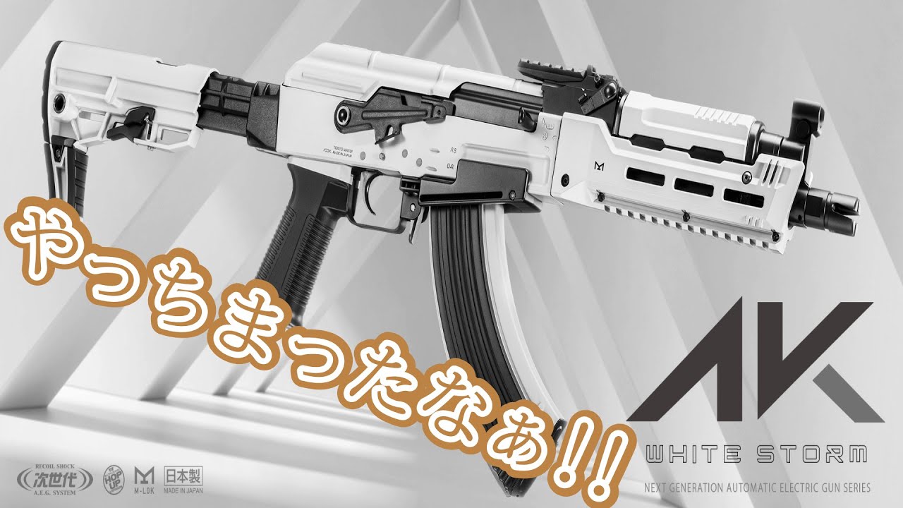 りつ 次世代 Ak storm 使用期間3ヶ月 りつ 次世代 Ak storm 使用期間3