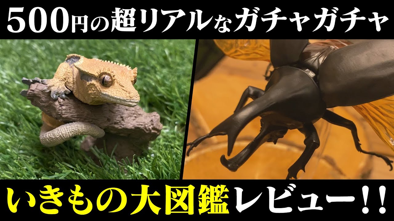 昆虫ガチャ】500円の大人気フィギュア「いきもの大図鑑」を組み立てて