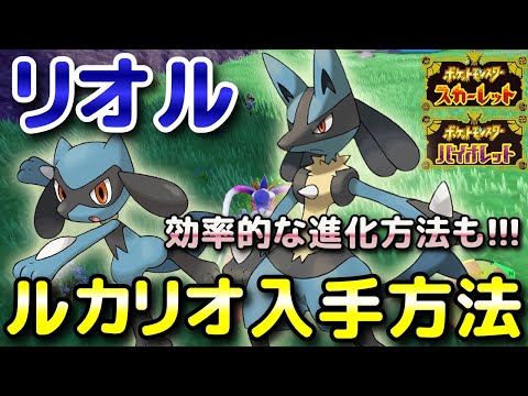 Pokemon SV] How to obtain Riolu and Lucario and where they appear