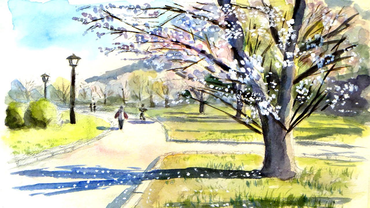 桜と公園 【透明水彩風景画】 Cherry tree【Watercolor】 - YouTube