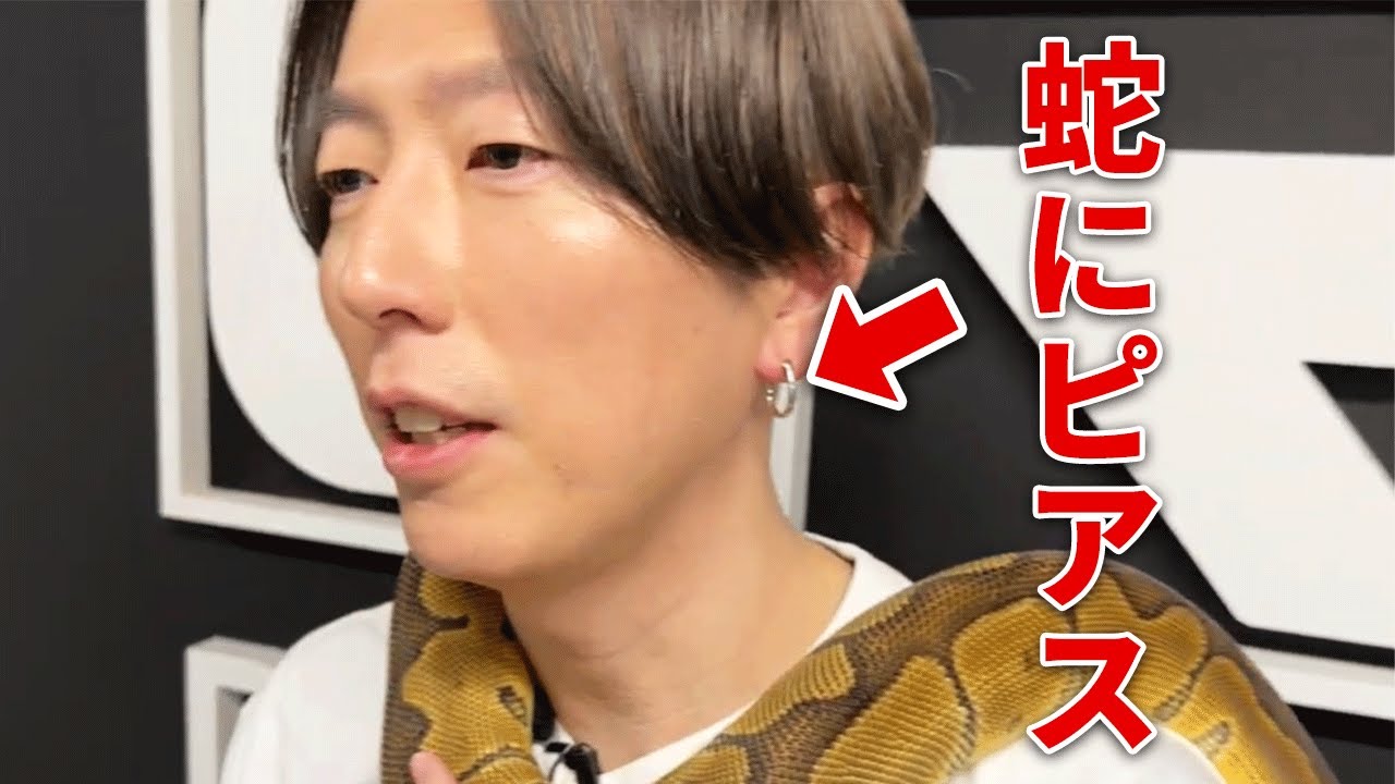 蛇にピアス】ついにオリジナルのヘビアクセサリー誕生 | ボール