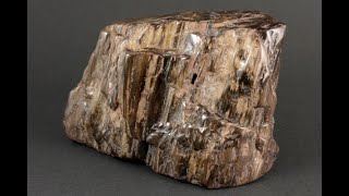 珪化木(木化石) 原石 磨き 778g / Petrified wood - YouTube