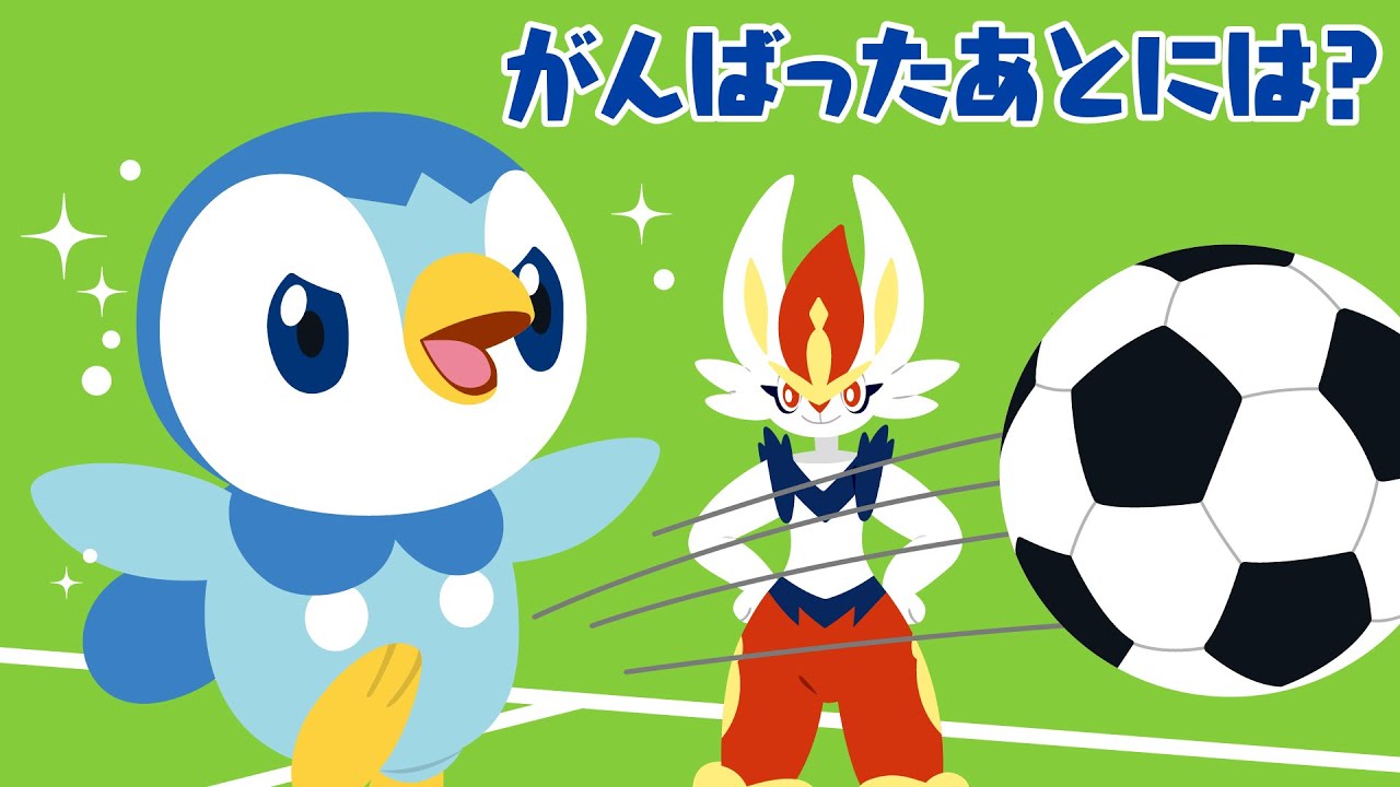 プロジェクトポッチャマ | ポケモン