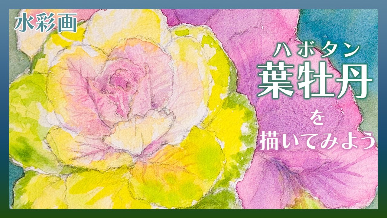 冬を彩るお花の水彩画】葉牡丹(ハボタン)を描いてみた【透明水彩