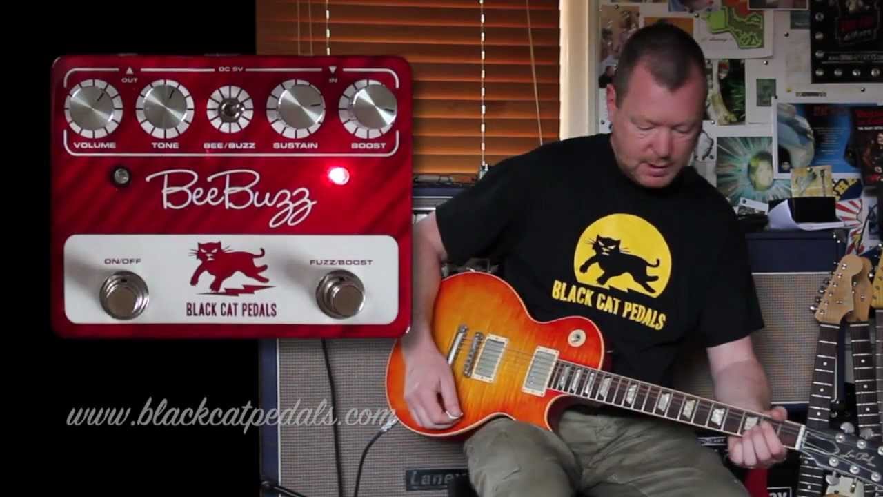 Black Cat Pedals : Bee Buzz - YouTube