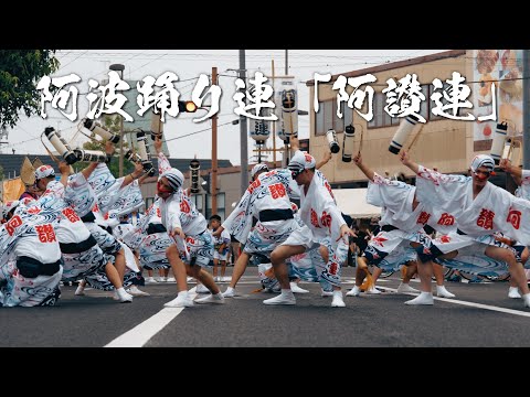 阿波踊りの鉦 スター印 24号 蔓 撞木5本 帯座 セット 阿波