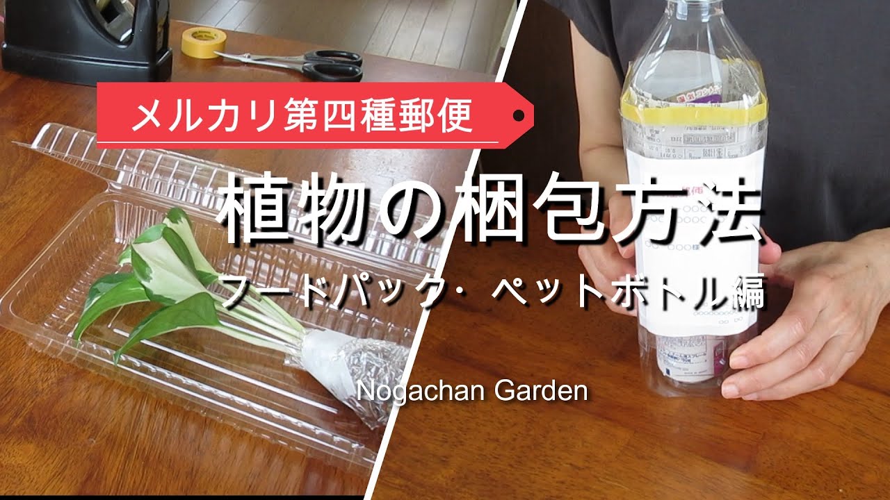 メルカリ】【植物の梱包方法】第四種郵便 フードパック・ペットボトル