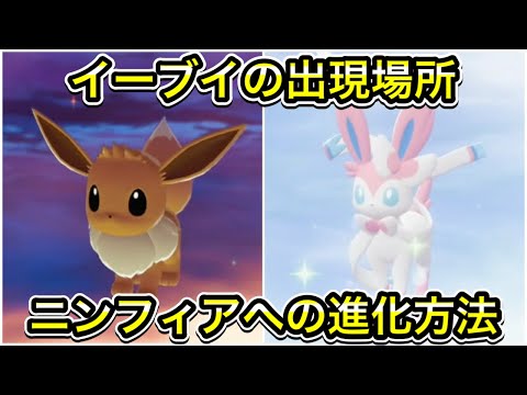 ポケモンZA】イーブイの出現場所！ニンフィアへの進化方法を解説 - YouTube