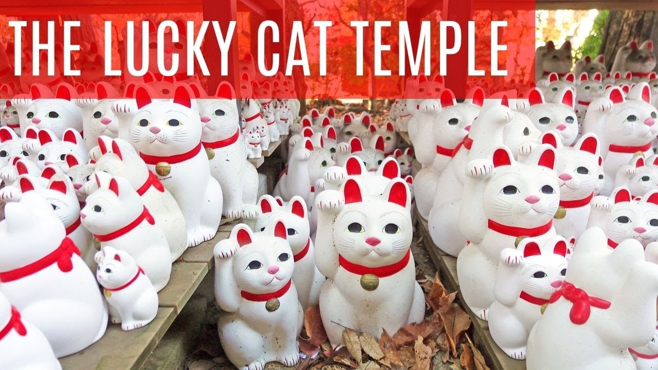 Thousands of Lucky Cats Await You at Tokyo's Gotokuji Temple