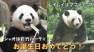 6/23シャオシャオレイレイお誕生日おめでとう！giantpanda @tokyo 上野