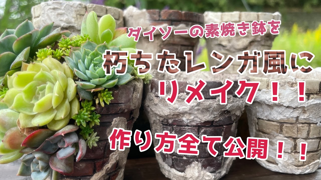 多肉植物】寄せ植え用のリメイク鉢の作り方！！ダイソー素焼き鉢を朽ち