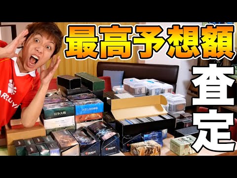 最高予想額】