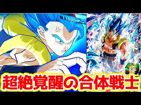 BM10弾SECゴジータ:BM(SSGSS•進化)を使ってみた！【スーパー