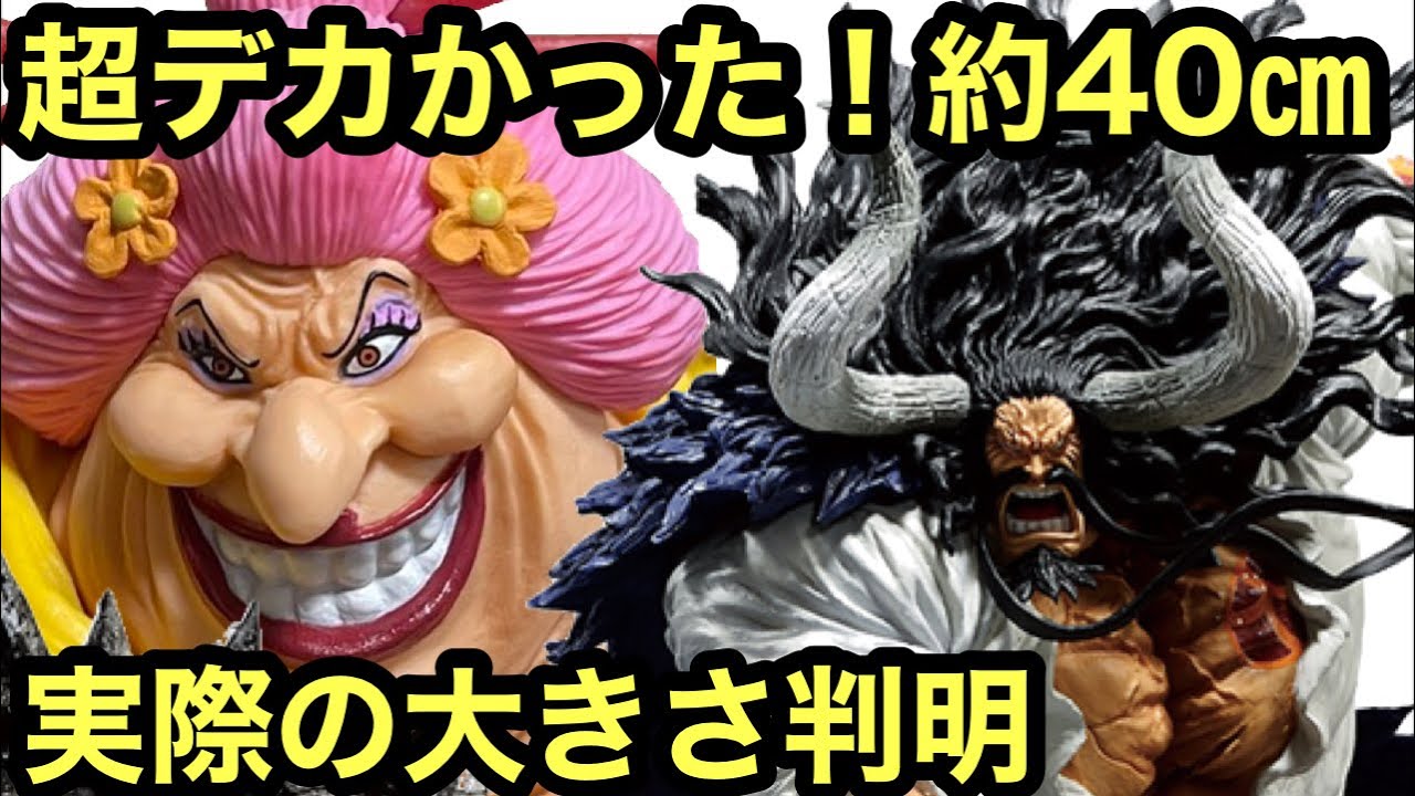実測、実態が明らかに！どちらも超大きかった♪そしてクオリティも本物