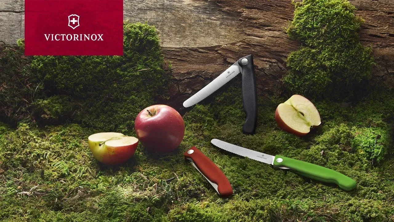 Victorinox スイスクラシック ピクニックナイフ, 11 cm レッド - 6.7831.FB