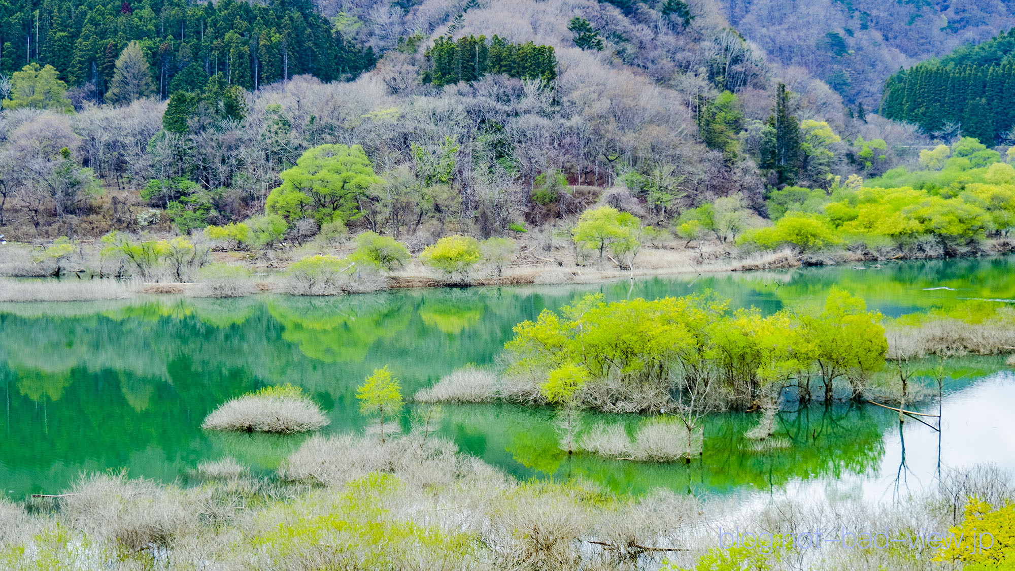 五十里湖 緑の湖面に映える新緑 – Not Bad View Japan!