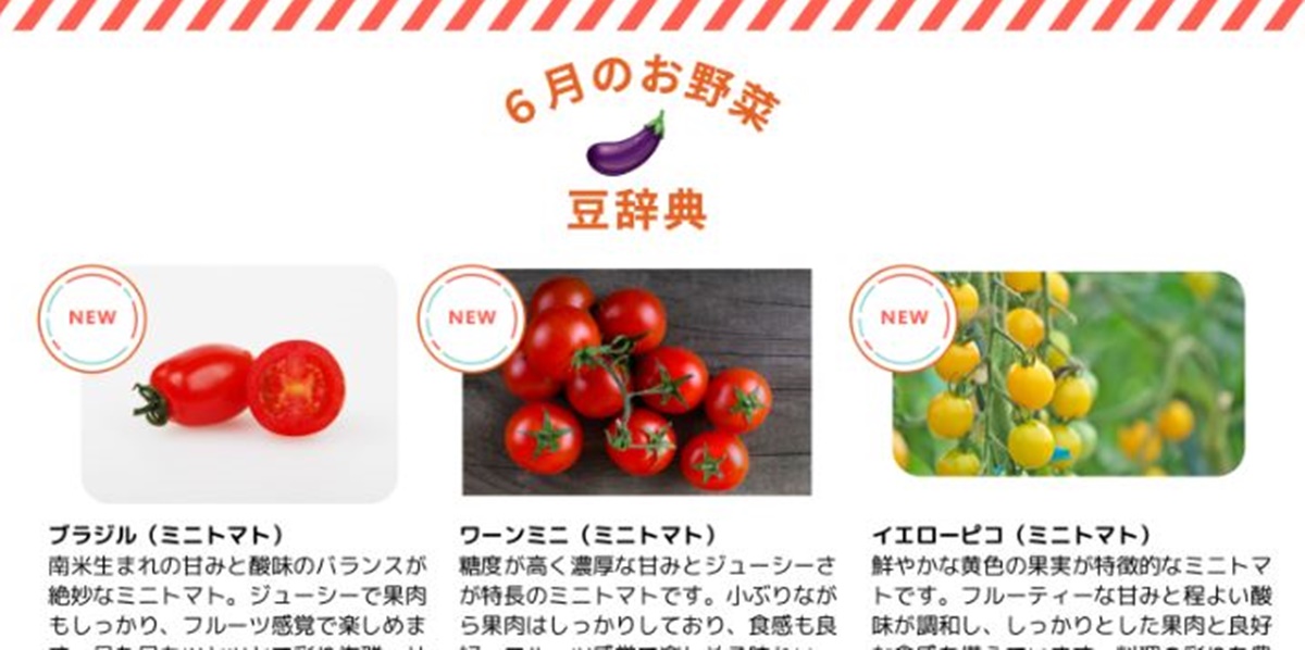 6月のお野菜豆辞典｜翔栄ファーム・コラム