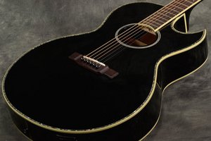 Washburn通信】第8回 ヌーノが使うアコースティックギターは