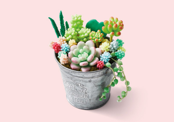 自分の癒しは自分で作る。多肉植物の時間です。本物みたいなぷっくり