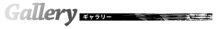 あしたのジョー アニメ50周年記念銀貨セット 特製展示ケース付き
