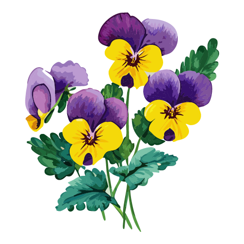 ai-suisai-flower-25_knNMJ.png