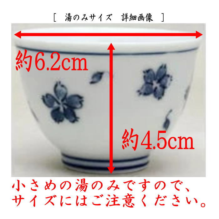 煎茶道具 湯のみ/汲出】 小煎茶碗 山水又は間取花紋又は小花 5客セット