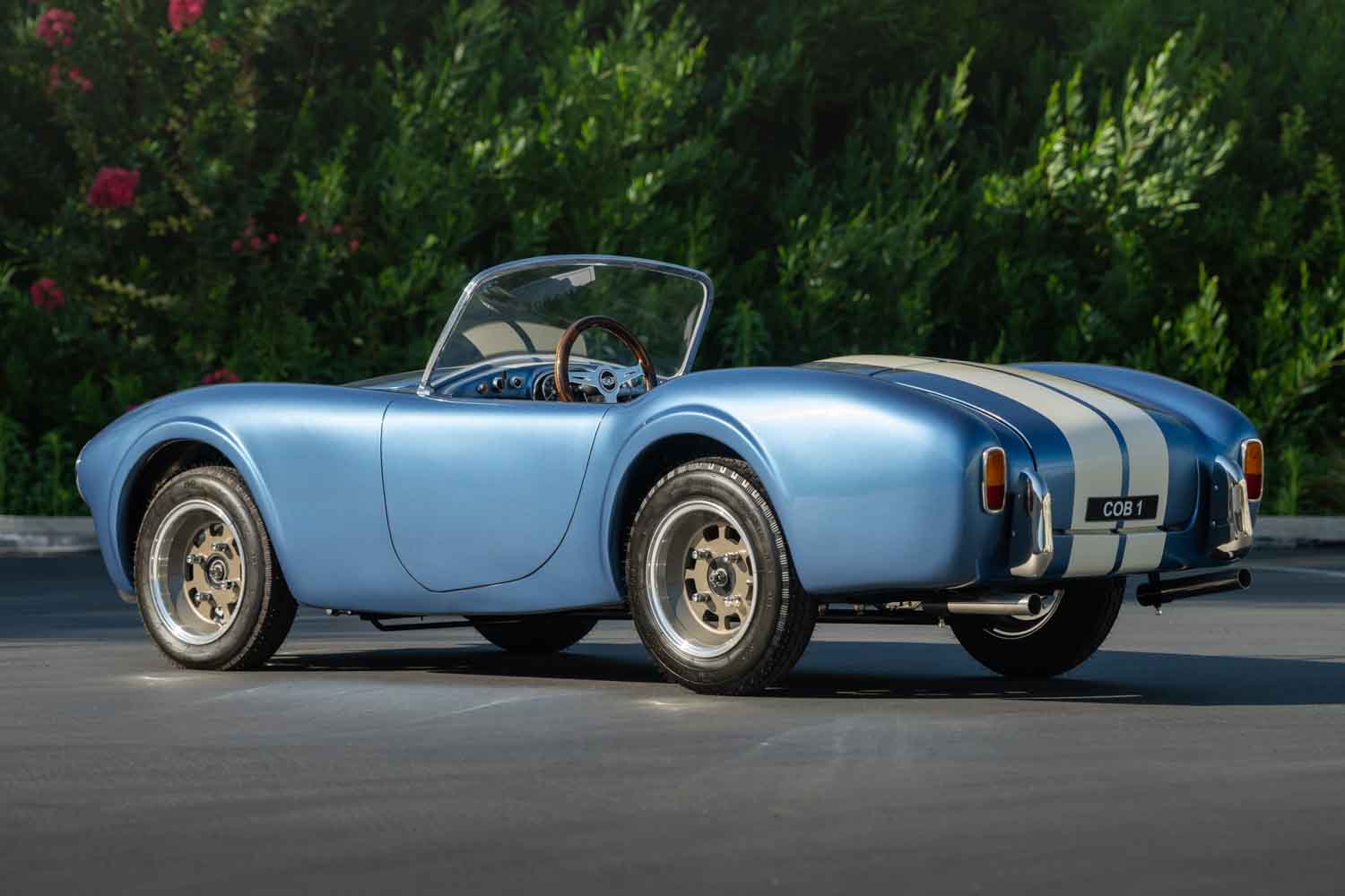 01_AMW_251003_Harrington-Cobra
