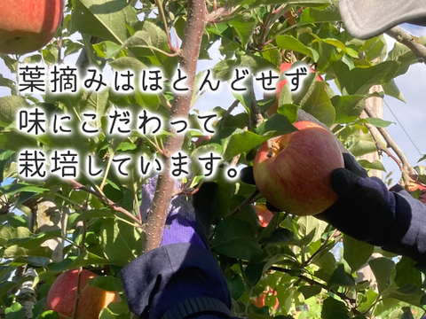 専用枠】はむはむりんご商事様 専用枠】はむはむりんご商事様 専用枠