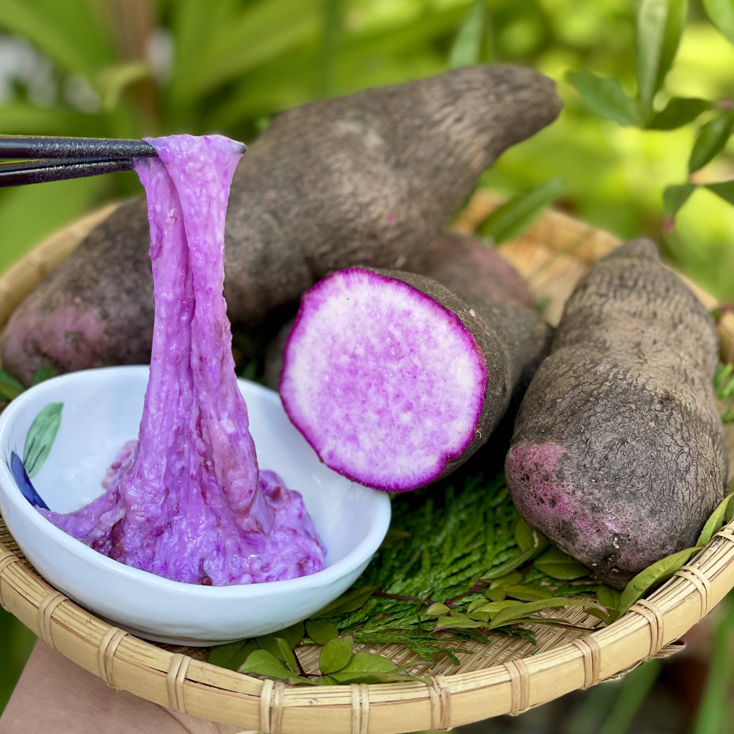 常温保存30日可】強い粘りとやさしい甘み！旬の紫やまいも（2kg）【紫