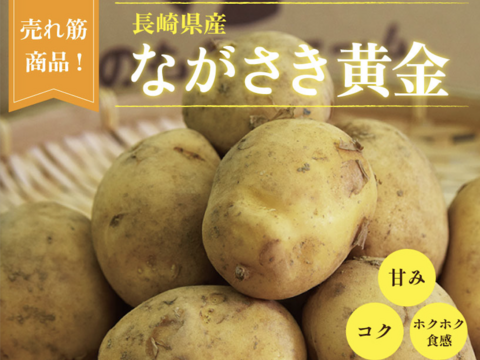 予約開始！！【長崎県産じゃがいも】希少品種！『ながさき黄金』10kg