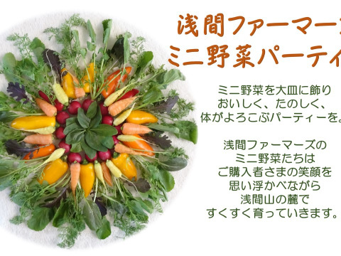 あま〜い有機ミニ人参入り！ミニ有機野菜おまかせ10点セット【Lサイズ
