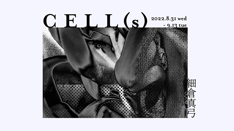 CELLs_KV_800x450.jpg