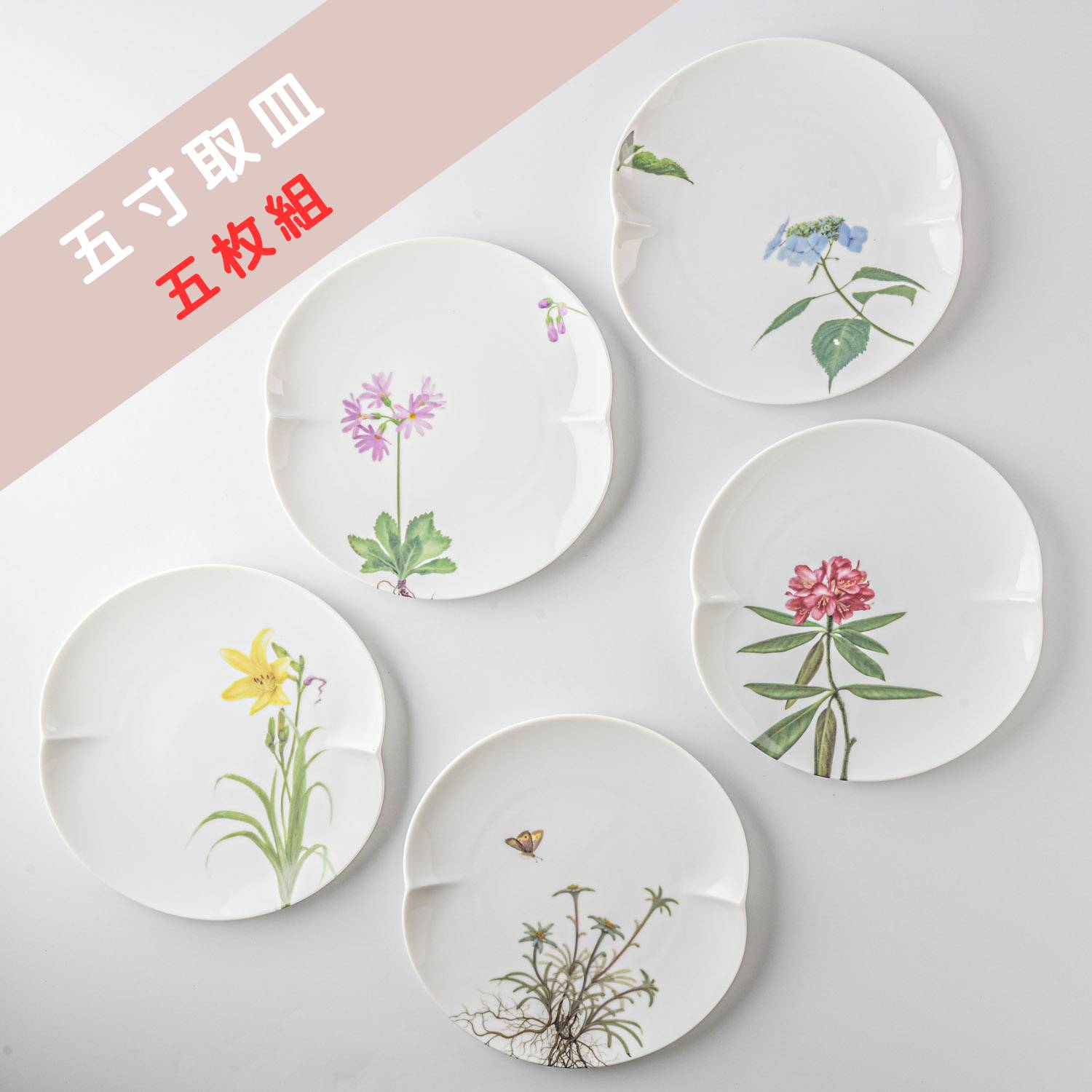 ☆ラッピング無料☆【ギフト】深山(miyama.) 谷川岳 五寸取皿五枚組