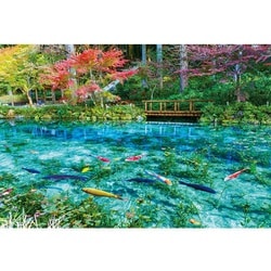 ヨドバシ.com - ビバリー BEVERLY 51-293 日本風景 色彩輝くモネの池