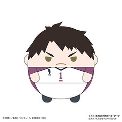 ヨドバシ.com - マックスリミテッド HQ-41 ハイキュー！！ ふわコロ