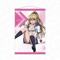 ヨドバシ.com - コンテンツシード ストライク・ザ・ブラッド FINAL B2