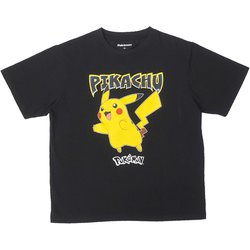 ヨドバシ.com - ファインプラス 22863174 [ポケットモンスター