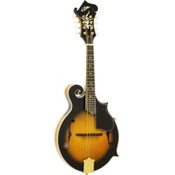 ヨドバシ.com - アリア Aria Aria アリア マンドリン AM-40 通販【全品