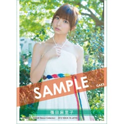 ヨドバシ.com - エンスカイ ensky AKB48 スリーブコレクション 篠田