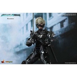 ヨドバシ.com - ホットトイズ HOT TOYS 雷電 [ビデオゲーム