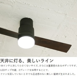 ヨドバシ.com - Life on Products ライフオンプロダクツ Javalo Elf
