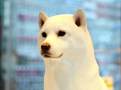 渋谷に「お父さん犬の像」が登場 - ITmedia NEWS
