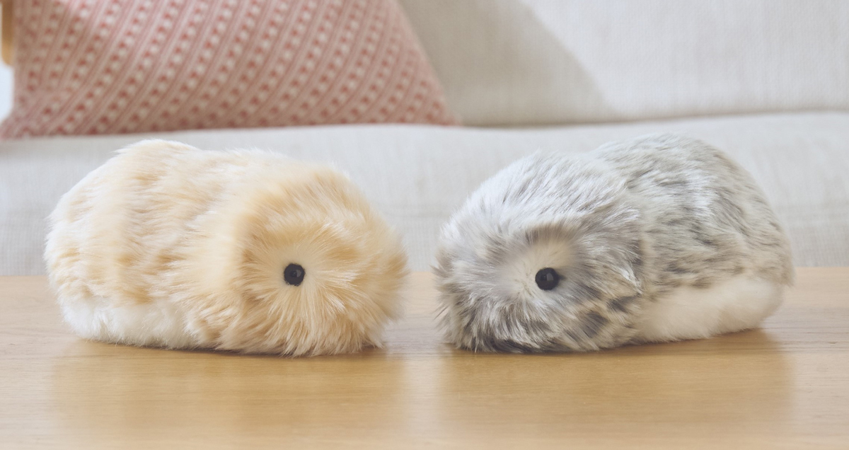 カシオがAIペットロボット「Moflin」発売 400万通り以上の個性を実現