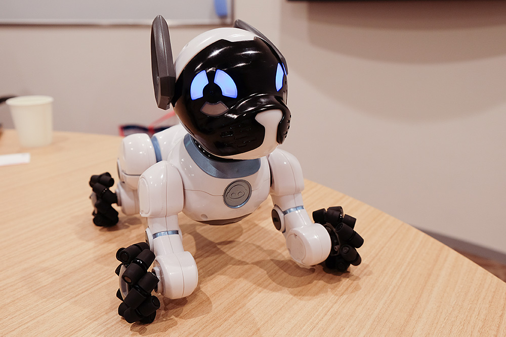 子犬のようにちょこまか動くロボット犬「Meet CHiP」の秘密 - ITmedia NEWS