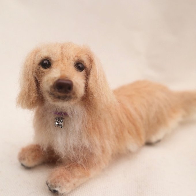 オーダー製作 》羊毛フェルト 犬 ミニチュアダックス 世界でたった一つ
