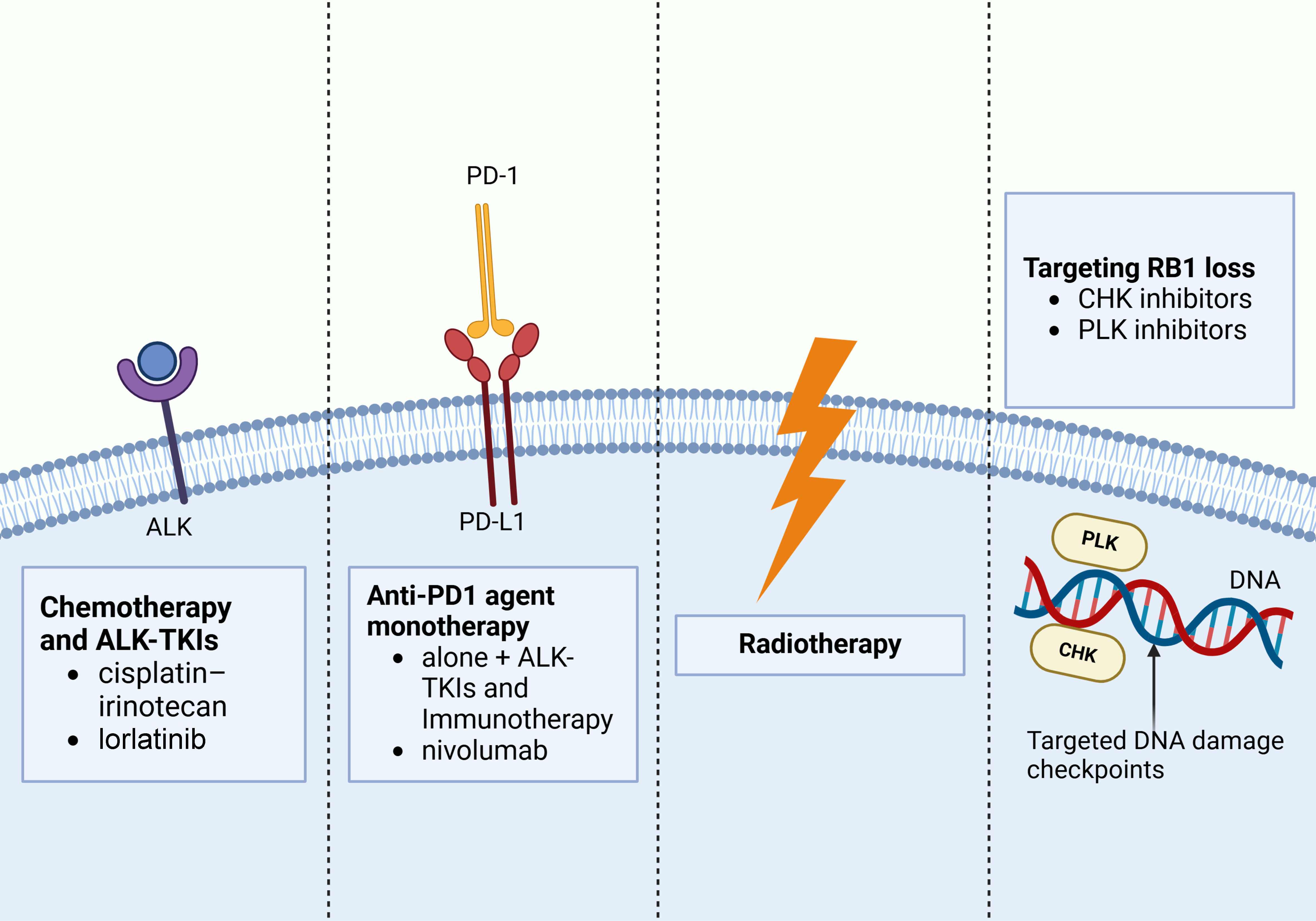 New advances in understanding the mechanisms and treatment